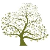arbre-choisi2