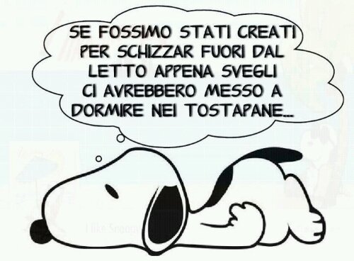 svegliarsi
