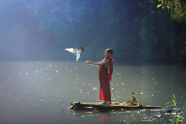 volare