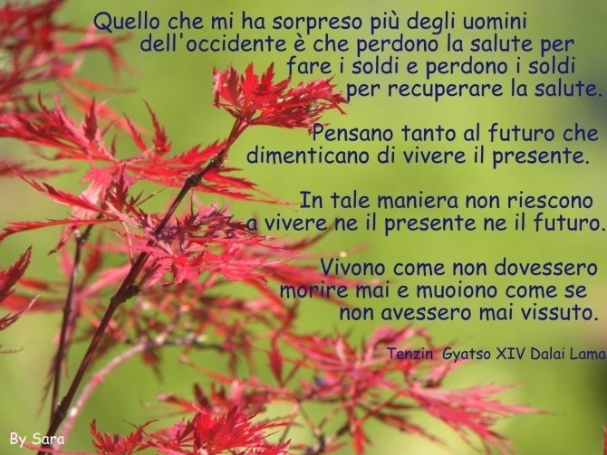 SAGGEZZA DEL DALAI LAMA