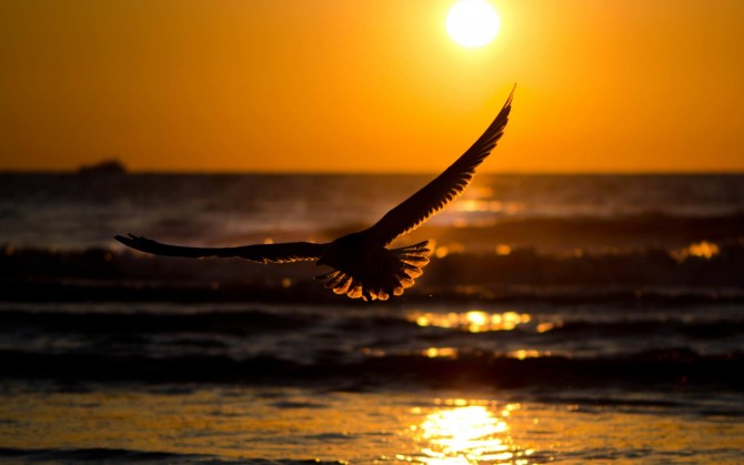 sole-mare-aquila