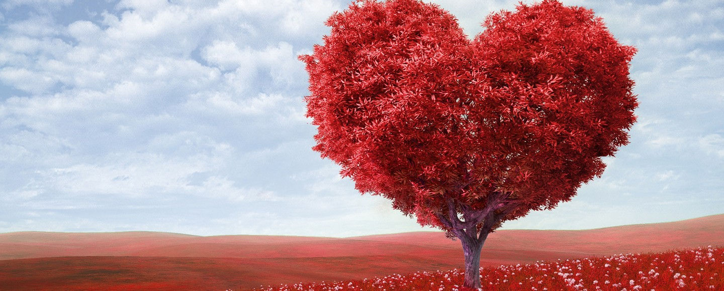 Amore dell'Arcangelo Michele