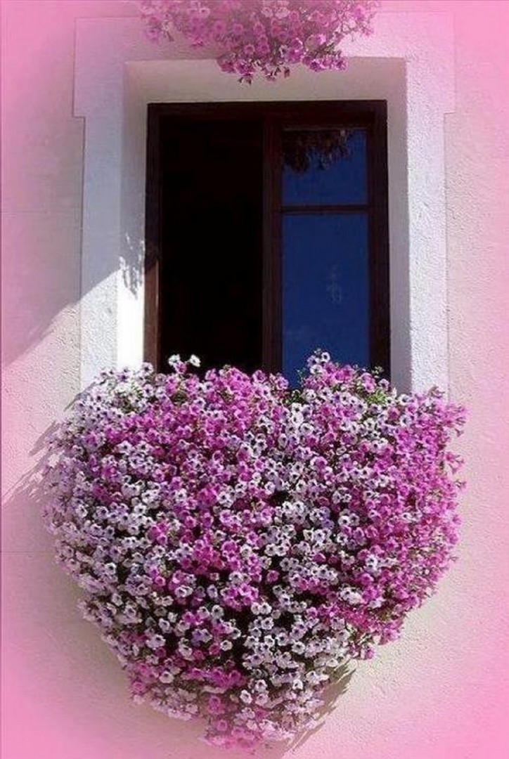 CUORE Fiorito